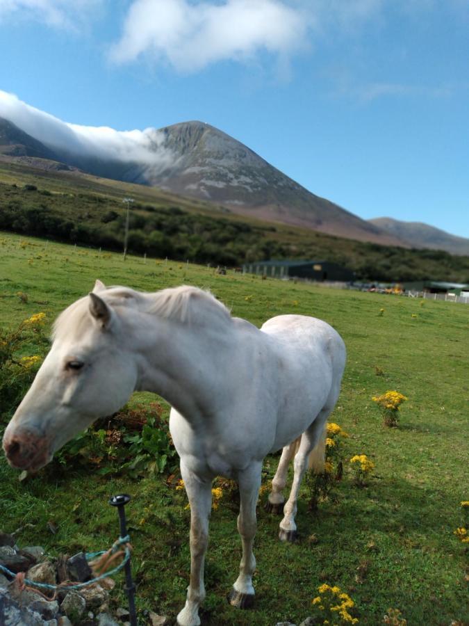 Elmgrove , Croagh Patrick