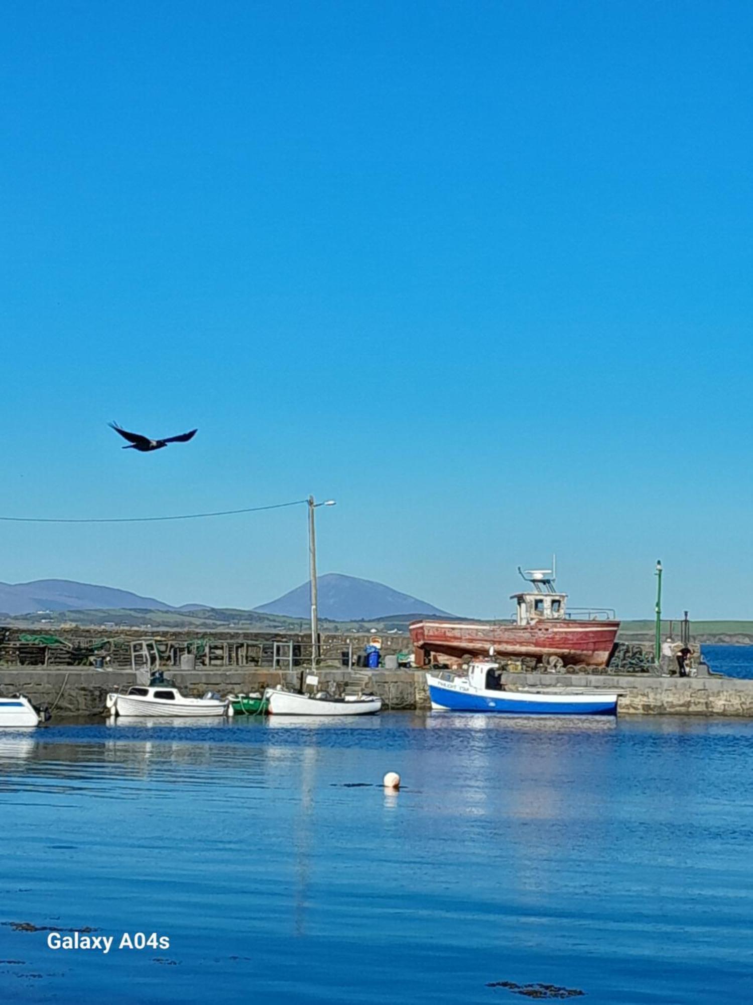 Elmgrove , Croagh Patrick * Westport
