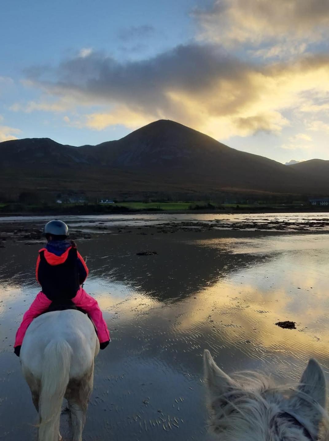 Elmgrove , Croagh Patrick Westport