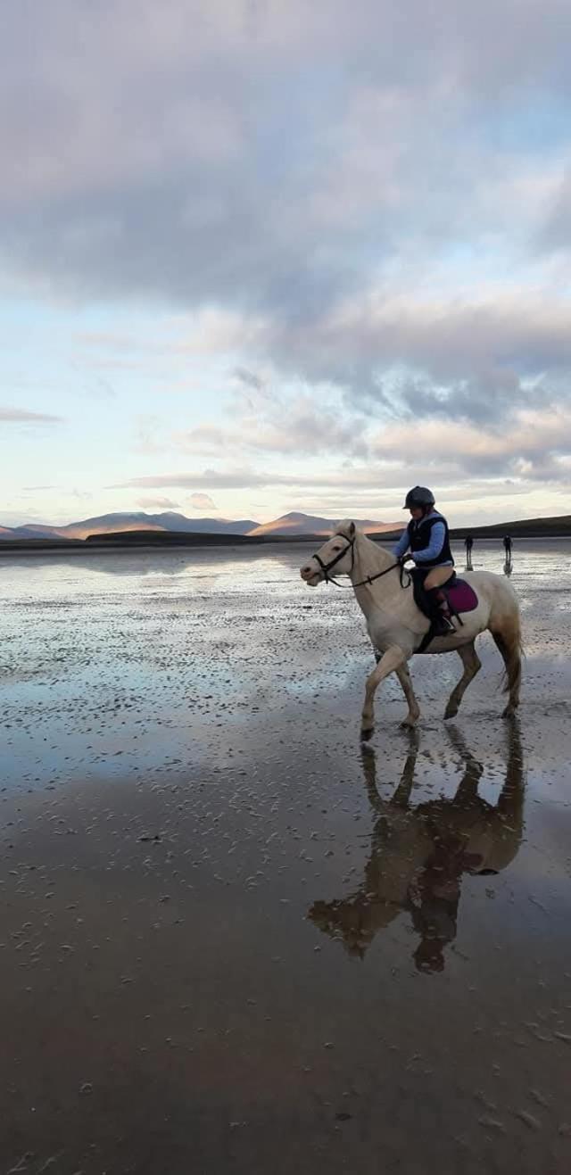 Elmgrove , Croagh Patrick * Westport